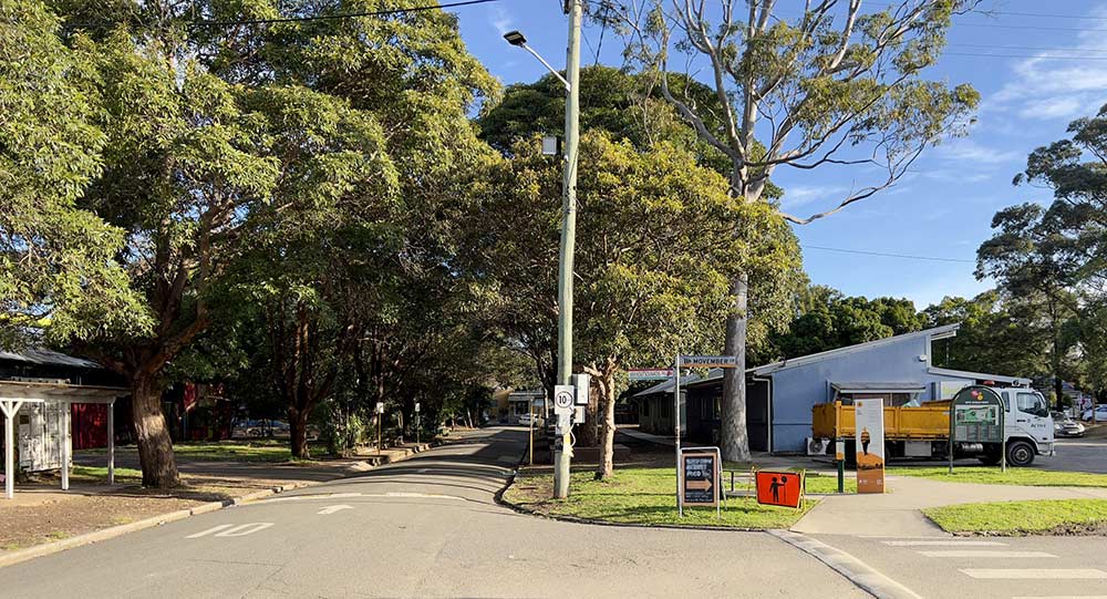 Vivi Koutsounadis Drive avenue of heritage Queensland Box tress