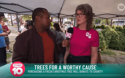 Studio 10 checks in on Addi Road’s Chrismas tree fundraiser